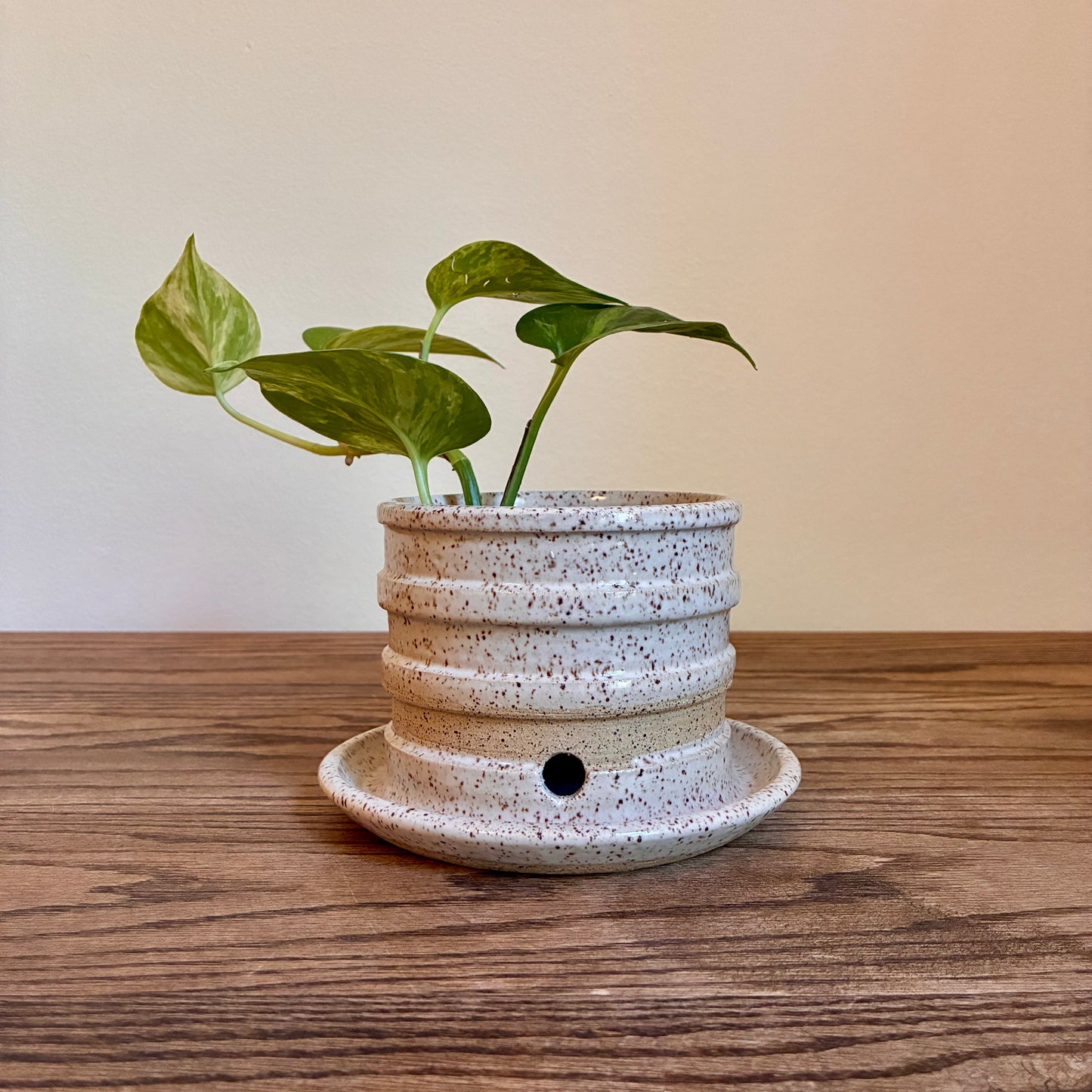 Ribbed, Speckled Planter