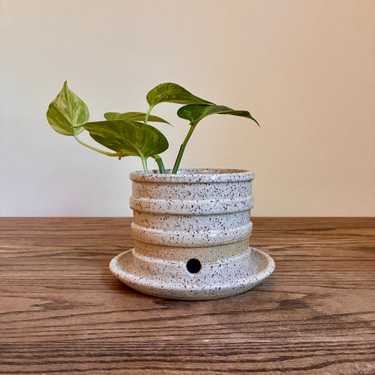Ribbed, Speckled Planter