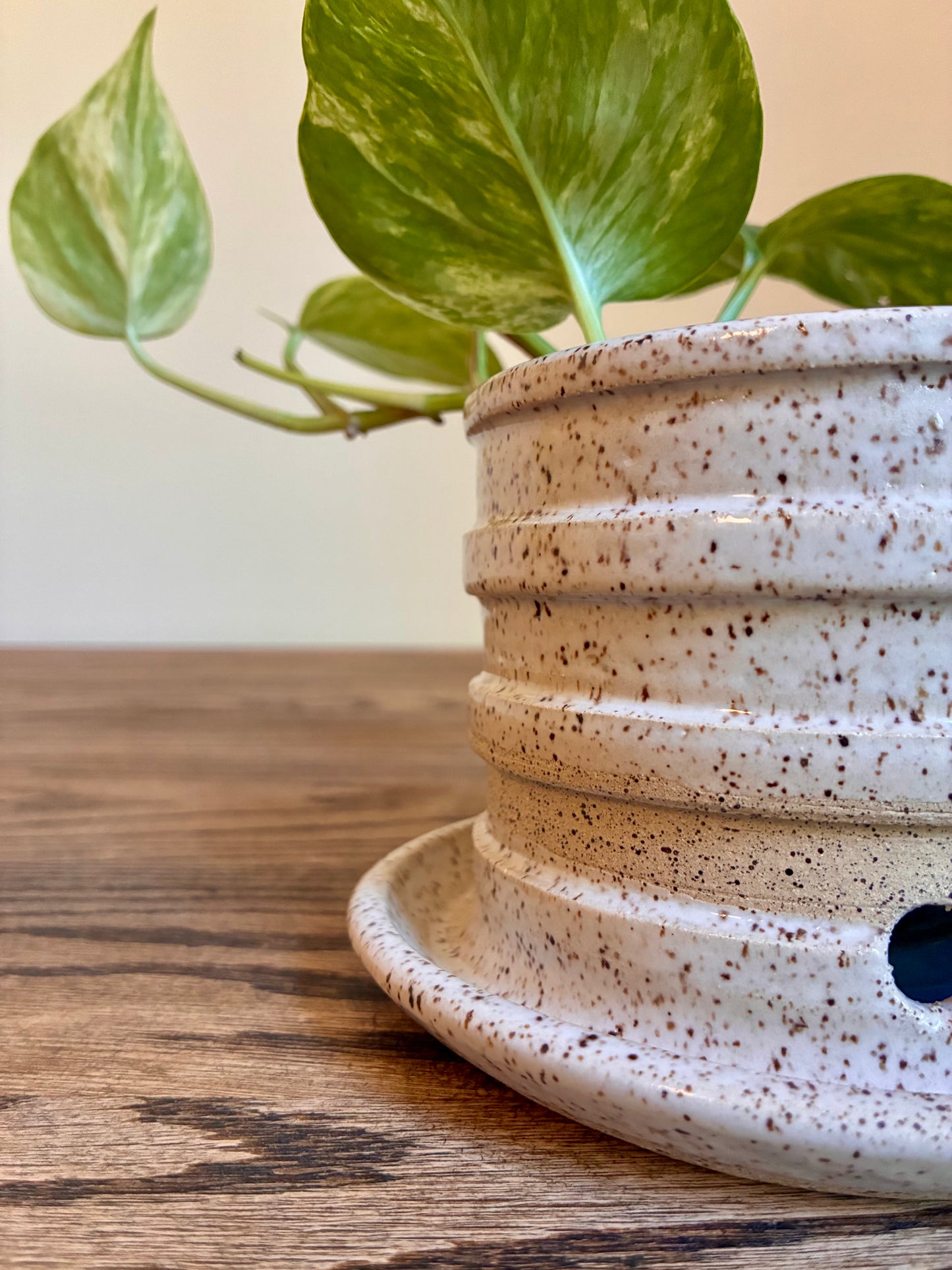 Ribbed, Speckled Planter