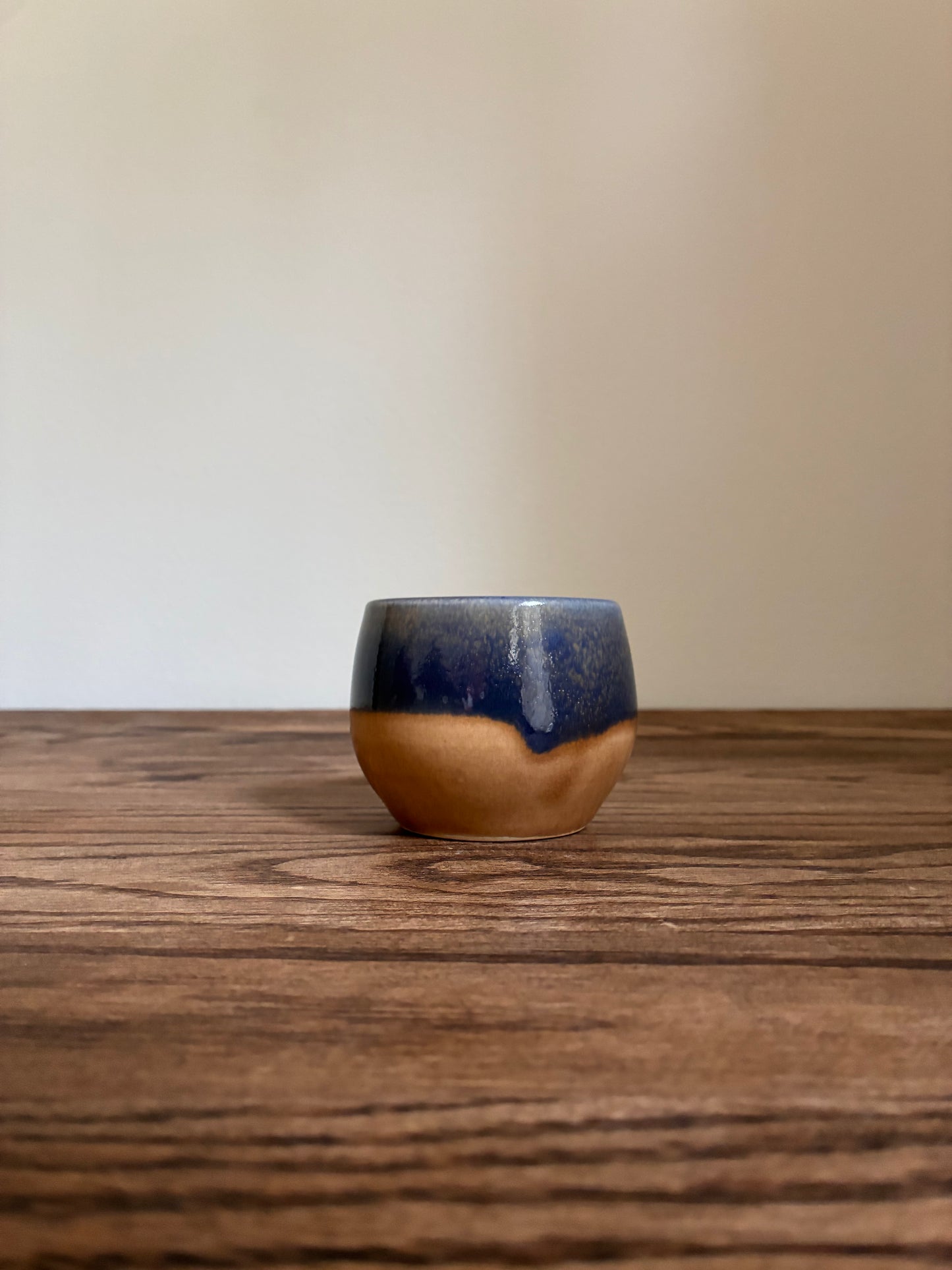 Blue and Tan Tumbler 1