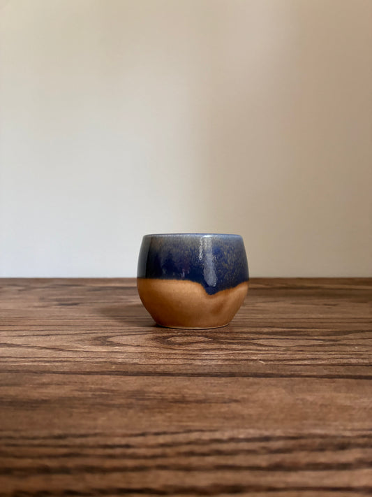 Blue and Tan Tumbler 1