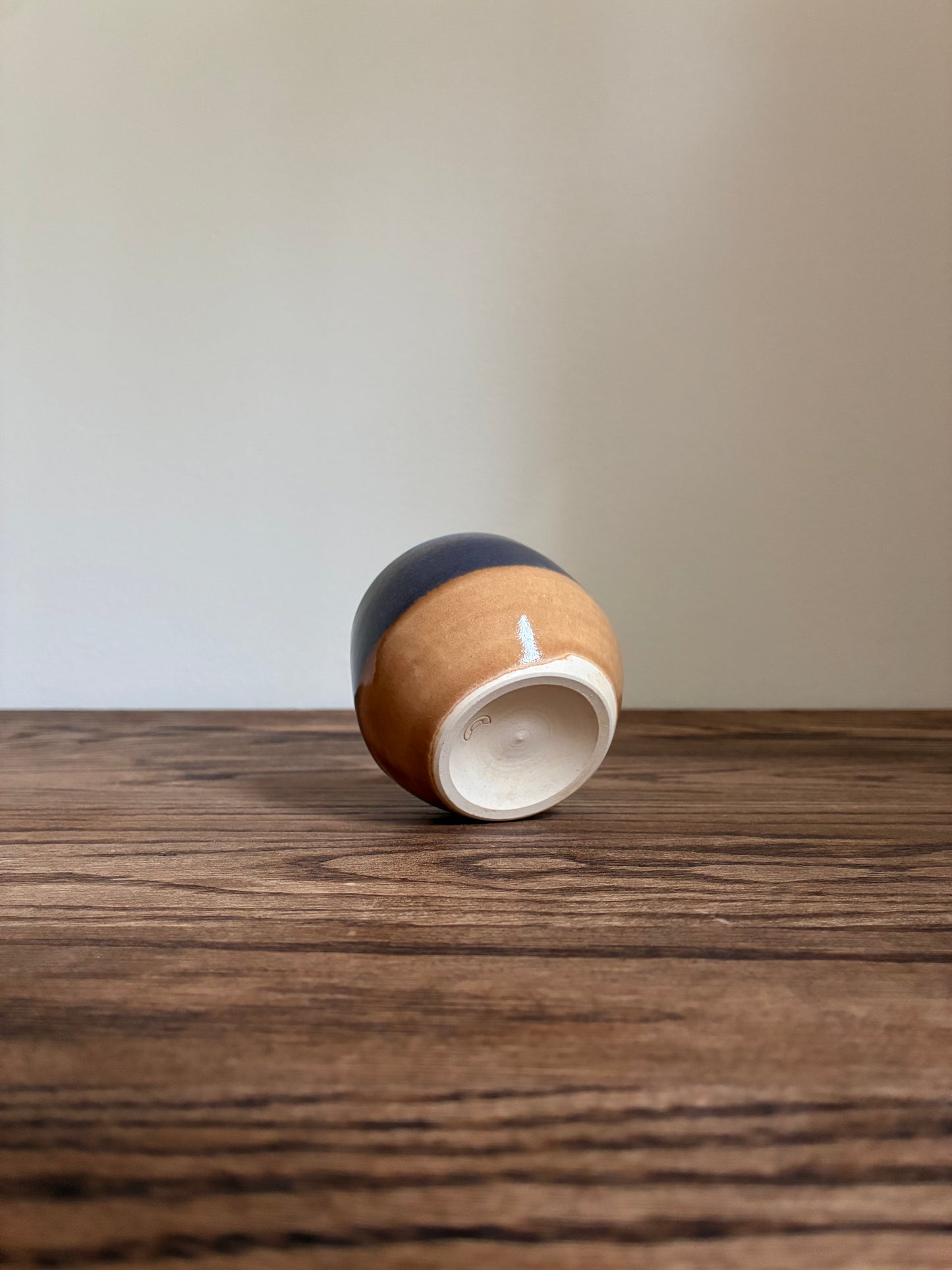 Blue and Tan Tumbler 1